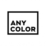 ＡＮＹＣＯＬＯＲ 転職ガイド：有価証券報告書等から読み解く会社の実態