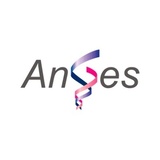 アンジェスの転職研究　2025年12月期決算に見るキャリア機会