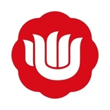 和心の転職研究　2025年12月期決算に見るキャリア機会