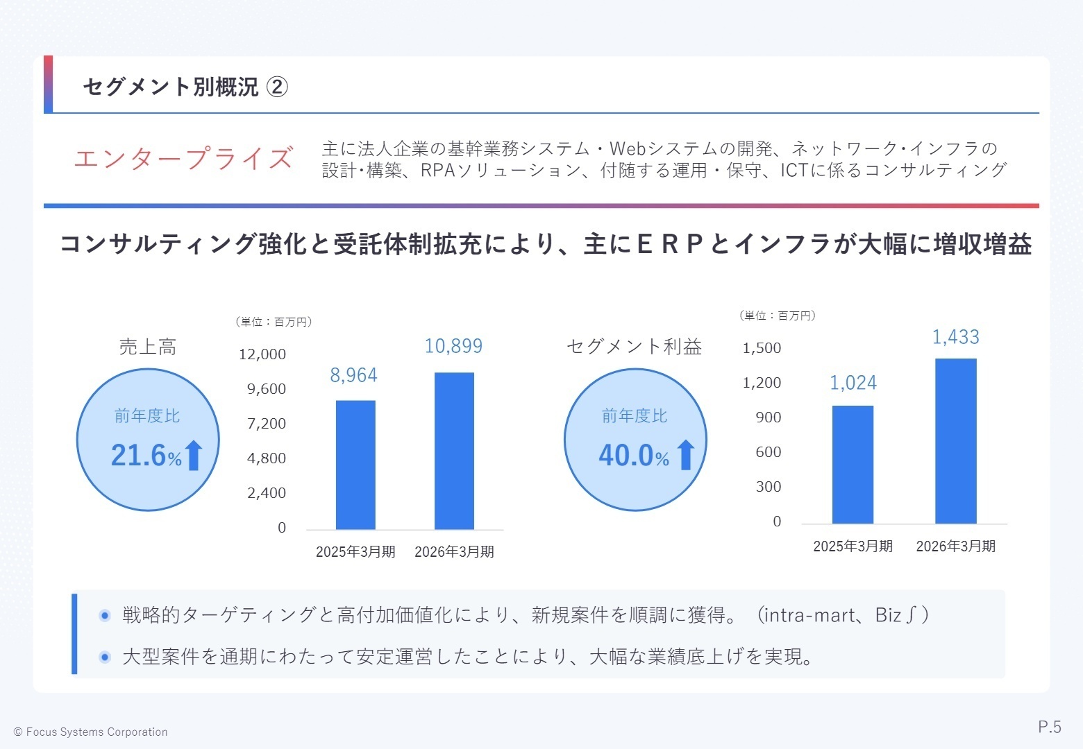 セグメント別概況 エンタープライズ