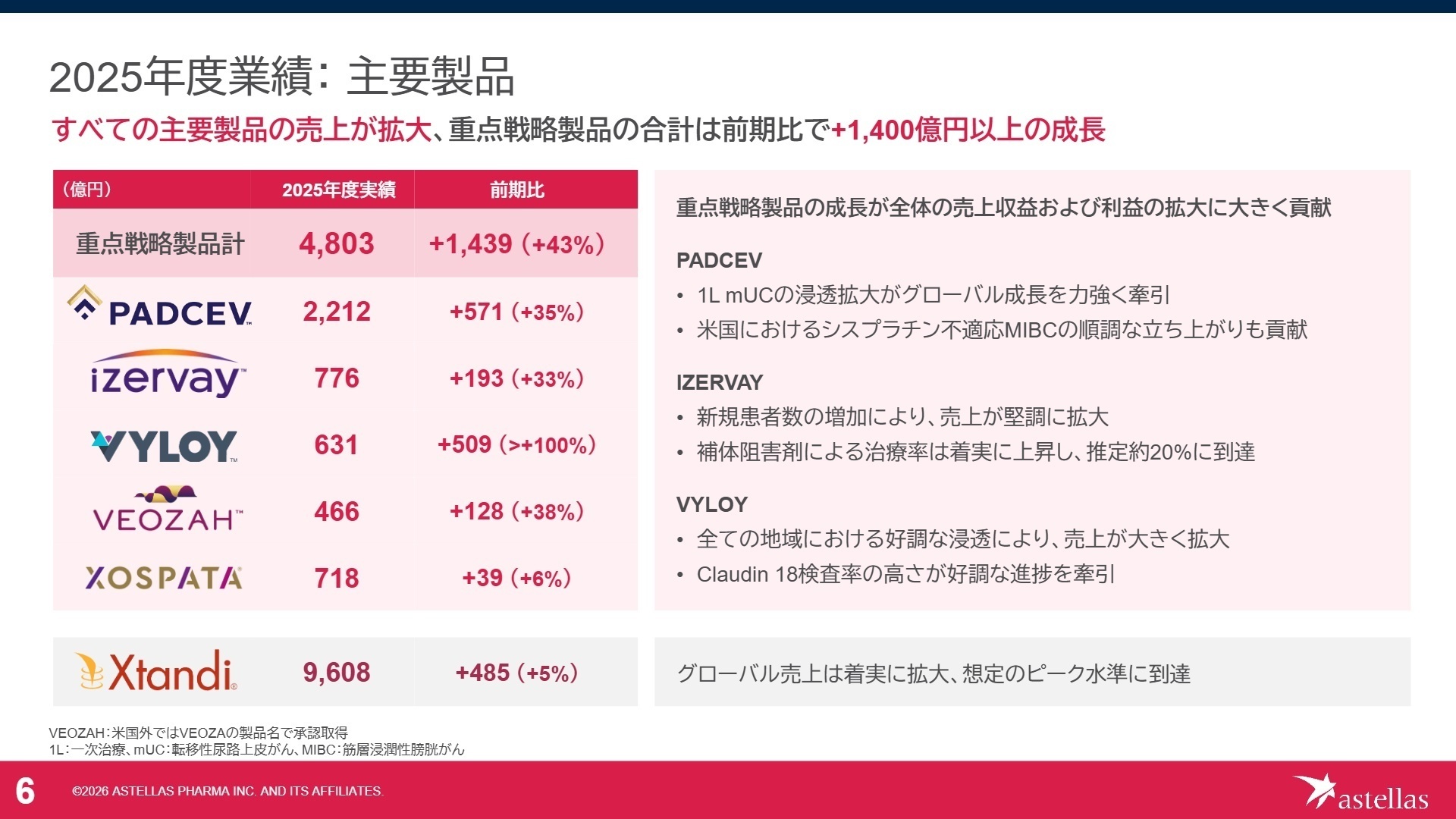 主要製品の業績状況